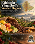 Ethiopia Yirgacheffe Washed Organic