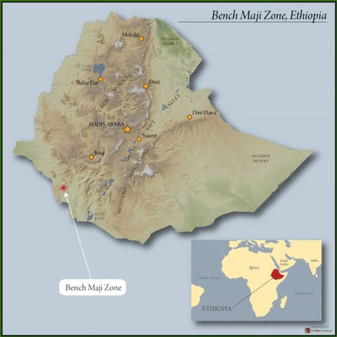 Ethiopia Limu