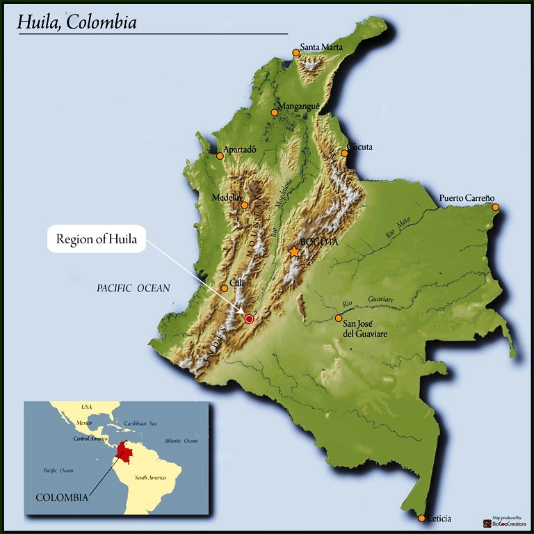 Columbia Organic Huila Asprocesca