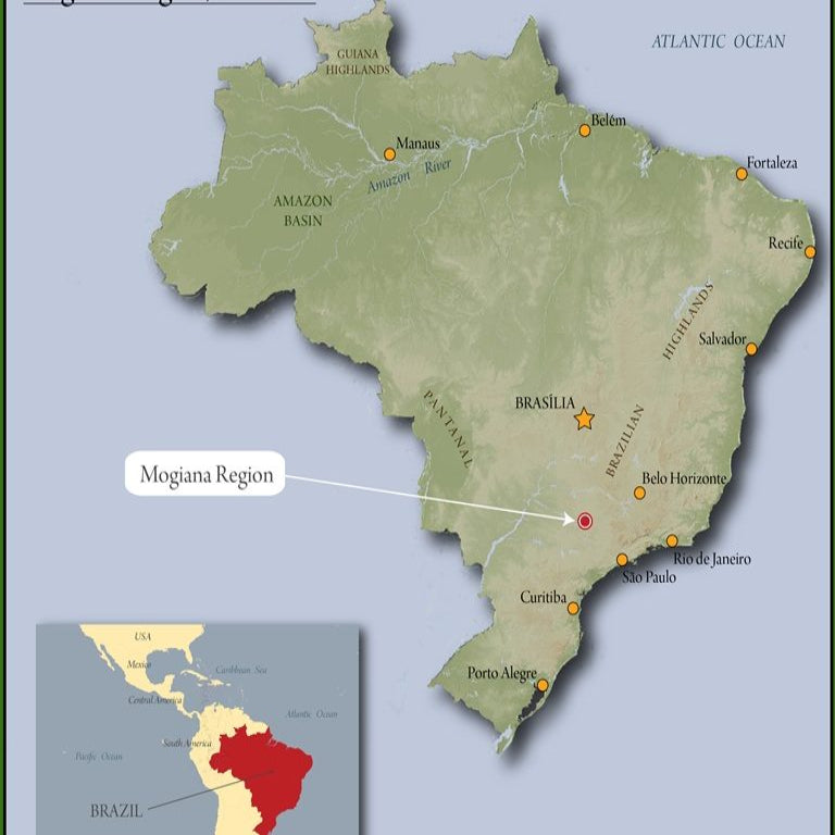 Brazil Sul de Minas