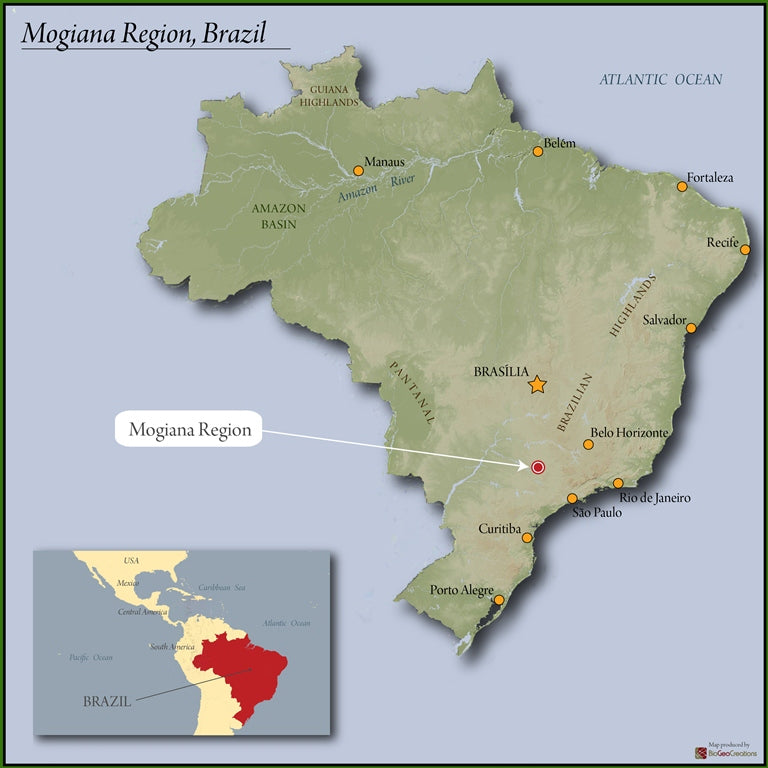 Brazil Sul de Minas